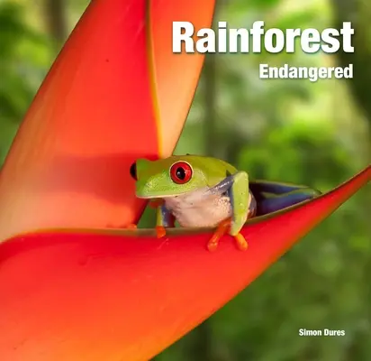 Esőerdő: Veszélyeztetett - Rainforest: Endangered