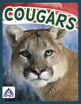 Pumák - Cougars