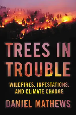 Trees in Trouble: Erdőtüzek, fertőzések és az éghajlatváltozás - Trees in Trouble: Wildfires, Infestations, and Climate Change