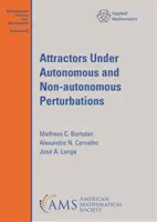 Vonzók autonóm és nem autonóm perturbációk alatt - Attractors Under Autonomous and Non-autonomous Perturbations