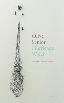 Hurricane Watch - Új és összegyűjtött versek - Hurricane Watch - New and Collected Poems