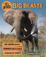 Fókuszban: Nagyvadak - In Focus: Big Beasts