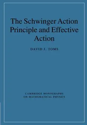 A Schwinger-féle cselekvési elv és a hatékony cselekvés - The Schwinger Action Principle and Effective Action