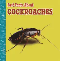 Gyors tények a csótányokról - Fast Facts About Cockroaches