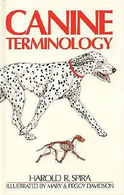 Kutyás terminológia - Canine Terminology