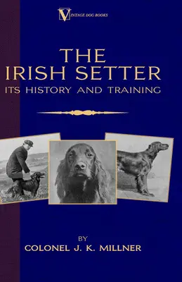 Az ír szetter - története és kiképzése (A Vintage Dog Books Breed Classic) - The Irish Setter - Its History & Training (A Vintage Dog Books Breed Classic)