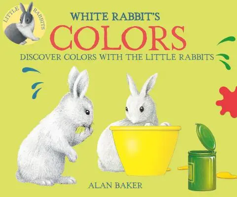 A fehér nyúl színei - White Rabbit's Colors