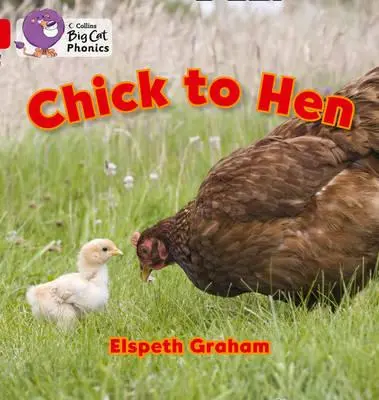 Csibéből tyúk - Chick to Hen