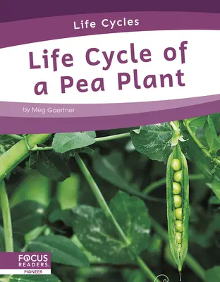 A borsónövény életciklusa - Life Cycle of a Pea Plant