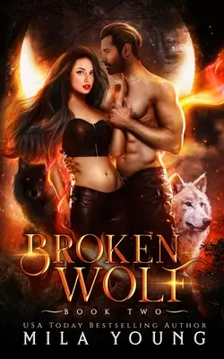 Broken Wolf: Paranormal Romance