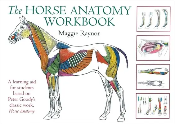 A lóanatómia munkafüzet: Peter Goody klasszikus műve, a Lóanatómia alapján készült tanulási segédlet diákoknak - The Horse Anatomy Workbook: A Learning Aid for Students Based on Peter Goody's Classic Work, Horse Anatomy