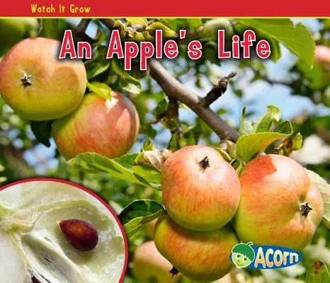 Egy alma élete - An Apple's Life