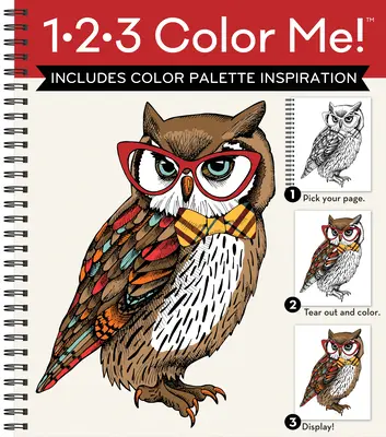 1-2-3 Color Me! (Felnőtt színezőkönyv változatos képekkel - Bagoly borítóval) - 1-2-3 Color Me! (Adult Coloring Book with a Variety of Images - Owl Cover)