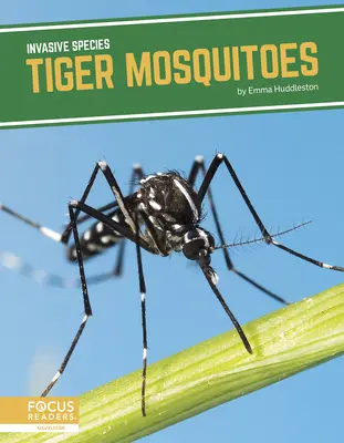 Tigris szúnyogok - Tiger Mosquitoes