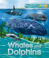 Felfedezők: Bálnák és delfinek - Explorers: Whales and Dolphins