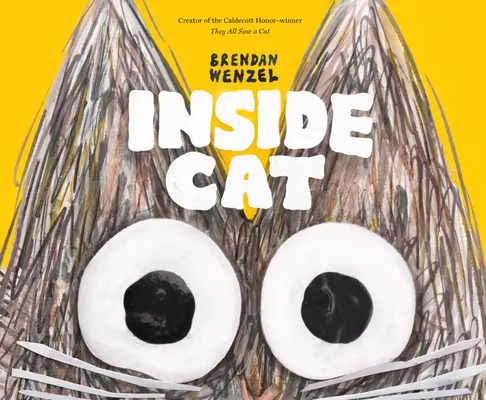 Macska belül - Inside Cat