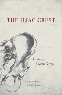 Az Iliász-csúcs - The Iliac Crest