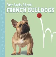 Gyors tények a francia bulldogokról - Fast Facts About French Bulldogs