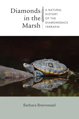 Gyémántok a mocsárban: A Diamondback Terrapin természettörténete - Diamonds in the Marsh: A Natural History of the Diamondback Terrapin