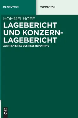 Lagebericht und Konzernlagebericht