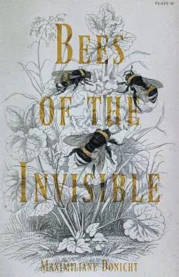 A láthatatlan méhek - Bees of the Invisible