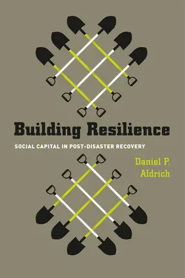 Az ellenálló képesség kiépítése: Társadalmi tőke a katasztrófa utáni helyreállításban - Building Resilience: Social Capital in Post-Disaster Recovery