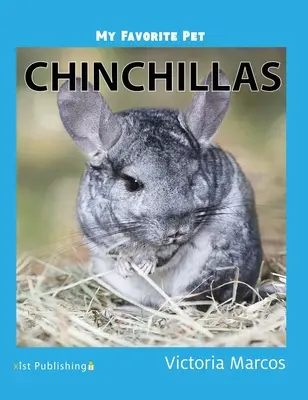 Kedvenc háziállatom: Csincsillák - My Favorite Pet: Chinchillas