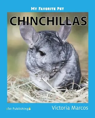 Kedvenc háziállatom: Csincsillák - My Favorite Pet: Chinchillas