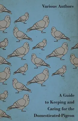 Útmutató a házigalamb tartásához és gondozásához - A Guide to Keeping and Caring for the Domesticated Pigeon