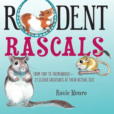 Rágcsálók - Rodent Rascals