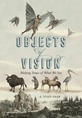 A látás tárgyai: Making Sense of What We See - Objects of Vision: Making Sense of What We See