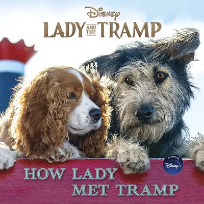 Lady és a csavargó: Hogyan találkozott a Lady a csavargóval - Lady and the Tramp: How Lady Met Tramp