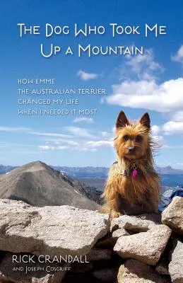 A kutya, aki felvitt a hegyre: Hogyan változtatta meg Emme, az ausztrál terrier az életemet, amikor a legnagyobb szükségem volt rá - The Dog Who Took Me Up a Mountain: How Emme the Australian Terrier Changed My Life When I Needed It Most