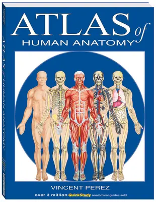 Az emberi anatómia atlasza - Atlas of Human Anatomy