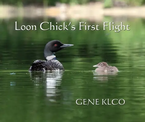 A mosómedvefióka első repülése - Loon Chick's First Flight