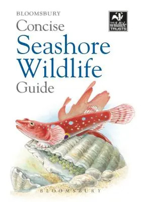 Rövid tengerparti élővilág kalauz - Concise Seashore Wildlife Guide