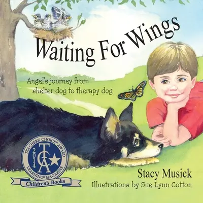 Szárnyakra várva, Angyal utazása a menhelyi kutyától a terápiás kutyáig - Waiting for Wings, Angel's Journey from Shelter Dog to Therapy Dog