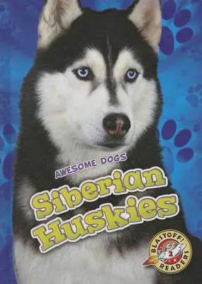 Szibériai huskyk - Siberian Huskies