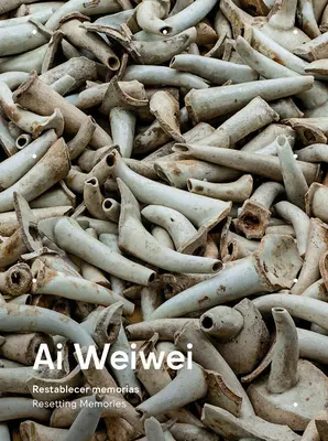 AI Weiwei: Az emlékek visszaállítása - AI Weiwei: Resetting Memories