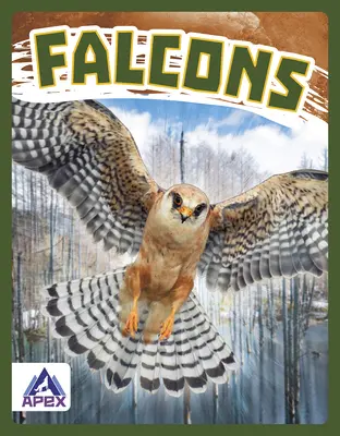 Falcons