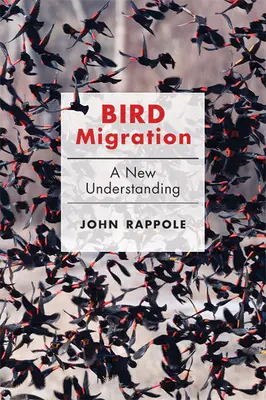 Madárvonulás: A New Understanding - Bird Migration: A New Understanding