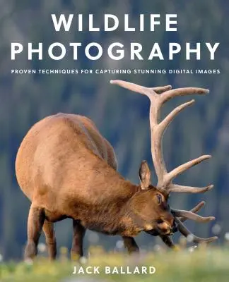 Vadvilági fényképezés: A lenyűgöző digitális képek készítésének bevált technikái - Wildlife Photography: Proven Techniques for Capturing Stunning Digital Images