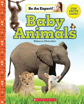 Babaállatok (Légy szakértő!) - Baby Animals (Be an Expert!)