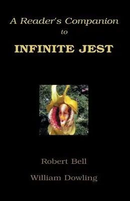 A Végtelen tréfa olvasótársa - A Reader's Companion to Infinite Jest