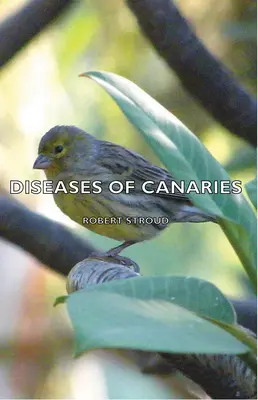 A kanárik betegségei - Diseases of Canaries