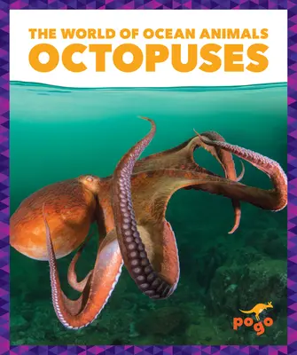 Polipok - Octopuses