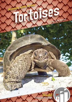 Teknősök - Tortoises