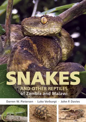 Zambia és Malawi kígyóinak és más hüllőknek terepikalauza - Field Guide to Snakes and Other Reptiles of Zambia and Malawi