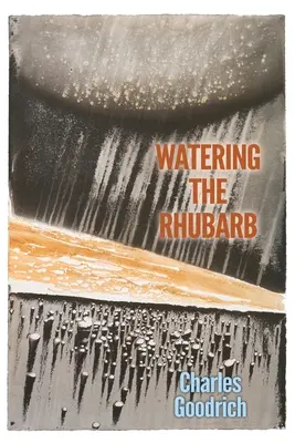 A rebarbara öntözése - Watering the Rhubarb