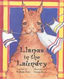 Lámák a mosodában - Llamas in the Laundry